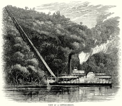 Näkymä puuvillanversosta (kaiverrus) tekijältä English School