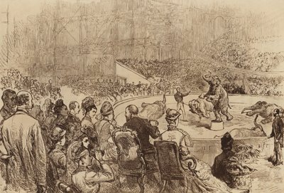 Walesin prinssin ja prinsessan sekä Kreikan kuninkaan ja kuningattaren vierailu 1876 tekijältä English School