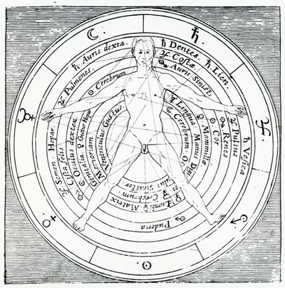 Vitruvian-hahmo, Robert Fluddin vuonna 1617 julkaisemasta Utriusque Cosmi Historiasta (kaiverrus) tekijältä English School