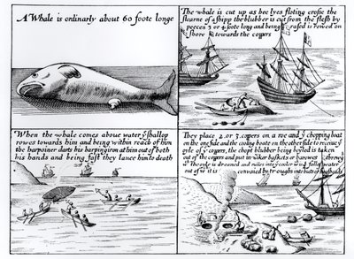 Valaanpyynti Huippuvuorilla vuonna 1611 tekijältä English School