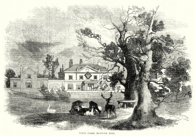 White Lodge, Richmond Park (kaiverrus) tekijältä English School