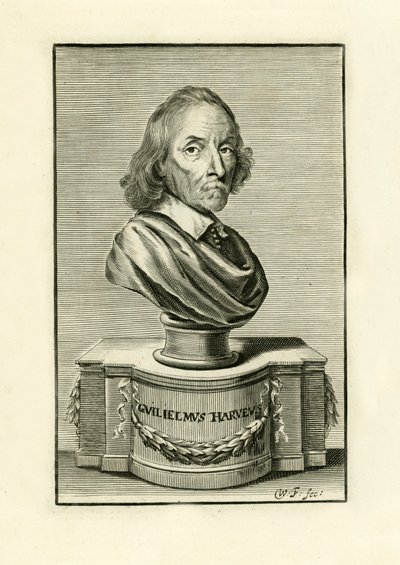 William Harvey tekijältä English School