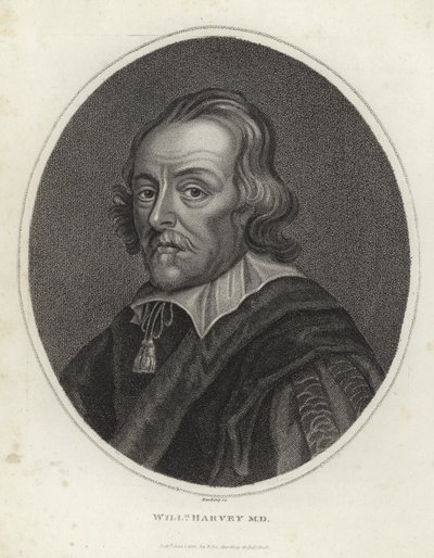 William Harvey tekijältä English School
