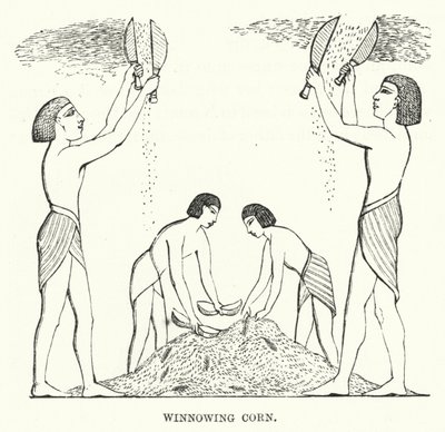 Winnowing Corn (kaiverrus) tekijältä English School