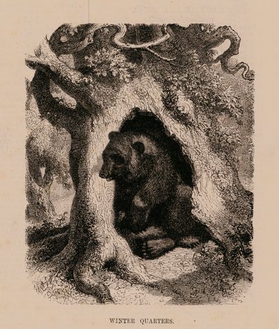 Winters Quarters (kaiverrus) tekijältä English School