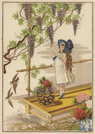 Wisteria (väri litho) tekijältä English School