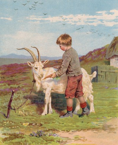Nuori poika syöttää porkkanaa vuohille maatilalla (chromolitho) tekijältä English School