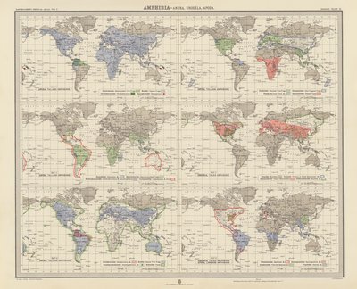 Zoogeografia: Amphibia, Anura, Urodela, Apoda (väriliitos). tekijältä English School