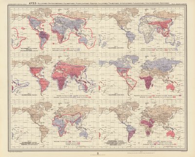 Zoogeografia: Lintulajit, Ralliformes, Opisthocomiformes, Columbiformes, Pteroclidiformes, Hemipodii, Galliformes, Tinamiformes, Apterygiformes, Casuariiformes, Struthioniformes, Rheiformes (väriliitossa). tekijältä English School
