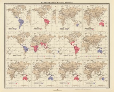 Zoogeografia: Mammalia, Edentata, Marsupialia, Monotremata (väriliitos). tekijältä English School