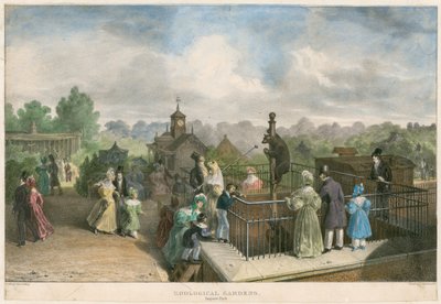 Eläintieteellinen puutarha, Regent