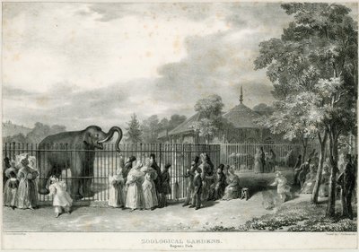 Eläintarha, Regents Park tekijältä English School