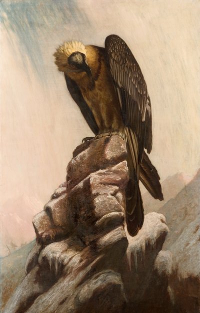 Eagle on Cliff tekijältä English School English School