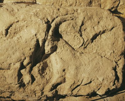 Taistelevat pässit (kivireliefi) tekijältä Erich Lessing