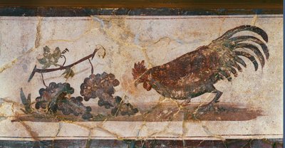 Kukko ja viinirypäleet, Herculaneum, Italia (fresko) tekijältä Erich Lessing