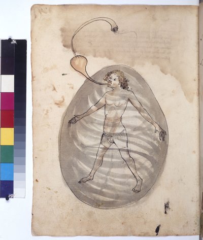 Koko sivu: sukeltaja, noin 1430 (värikynäpiirros). tekijältä Erich Lessing