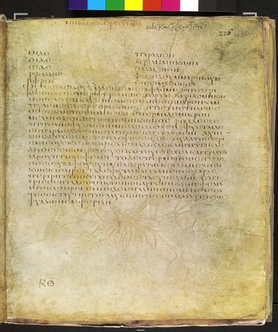 Koko sivu: teksti keltaista sarvipäistä unikkoa varten. tekijältä Erich Lessing