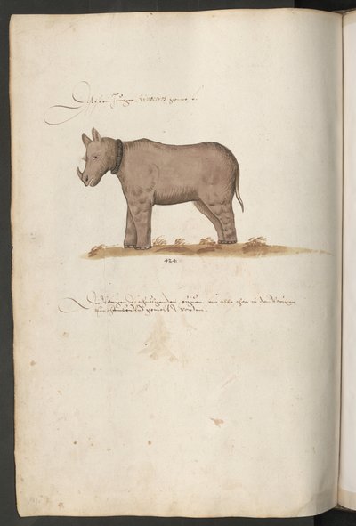  tekijältä Erich Lessing