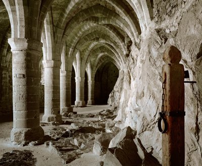 Kellareiden goottilaiset holvit, linna, Chillon, Sveitsi (kuva) tekijältä Erich Lessing