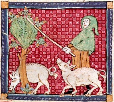 Syyskuu: siat syövät tammenterhoja. Ermengol de Beziersin (Matfre Ermengau) (Ermengaud) (kuollut 1322) pienoismalli "Breviaire d