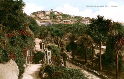 Terrace Walk ja Vane Hill, Torquay, Devon, 1900-luvun alku. tekijältä Ern Bishop