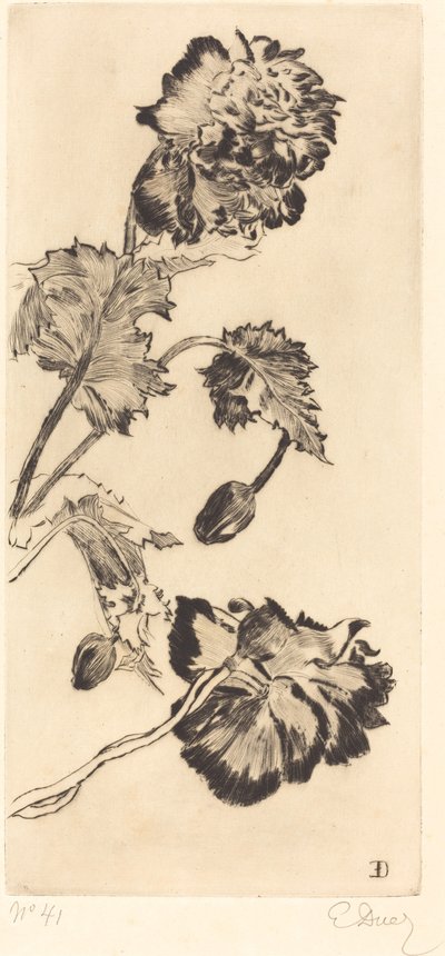 Kukat (Fleurs) tekijältä Ernest Ange Duez