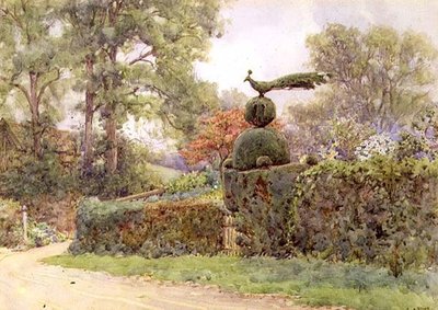 The Old Yew Hedge, Speldhurst, Kent (akvarelli) tekijältä Ernest Arthur Rowe