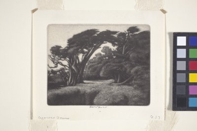 Cypress Bower (mezzotint) tekijältä Ernest Haskell