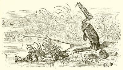 Kalastaja ja pikkukala tekijältä Ernest Henry Griset