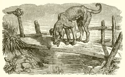 Koira ja hänen varjonsa tekijältä Ernest Henry Griset