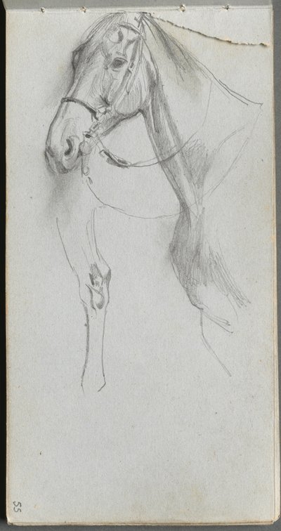 Luonnoskirja, sivu 55: Study for a Horse tekijältä Ernest Meissonier