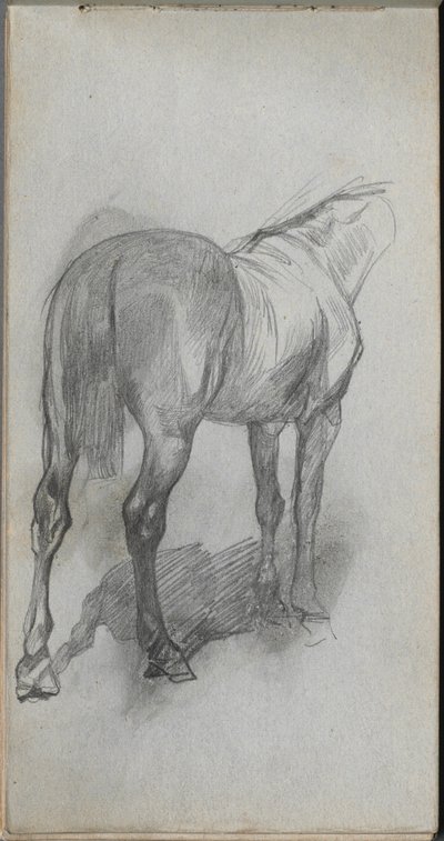 Luonnoskirja, sivu 76: Hevostutkimus tekijältä Ernest Meissonier
