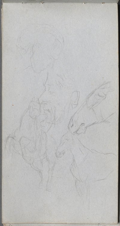 Luonnoskirja, sivu 90: Hevosten tutkimus, profiilit. tekijältä Jean-Louis Ernest Meissonier