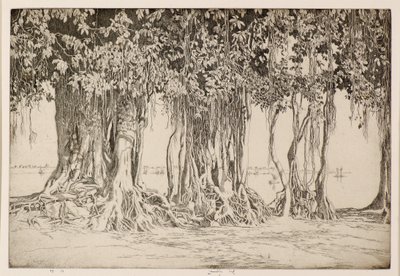 Banyan-puu tekijältä Ernest Stephen Lumsden