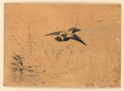 Bobolink tekijältä Ernest Thompson Seton