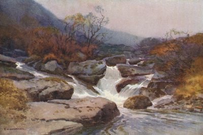 Dartmoor Stream (väri litho) tekijältä Ernest William Haslehust