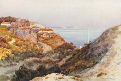 Boscombe Chine (väri litho) tekijältä Ernest William Haslehust