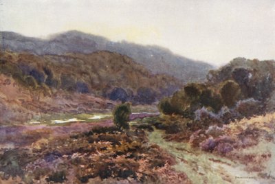 Kirjailija: Broomy Water (väri litho) tekijältä Ernest William Haslehust