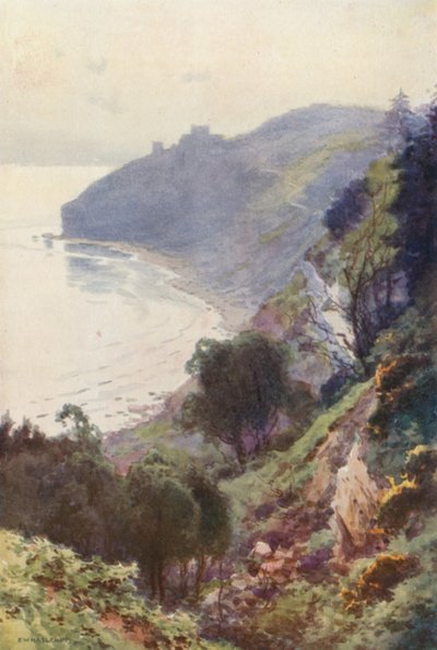 Durlston Bay, Swanage (värijäsenet) tekijältä Ernest William Haslehust