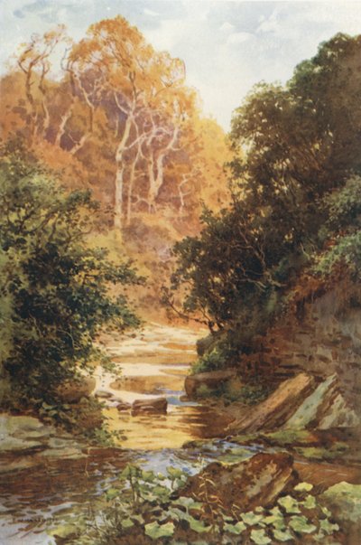 Hayburn Wyke (väri litho) tekijältä Ernest William Haslehust