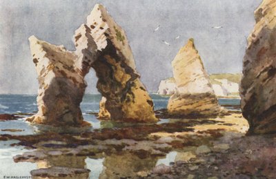 Freshwater Bayssa (väri litho) tekijältä Ernest William Haslehust