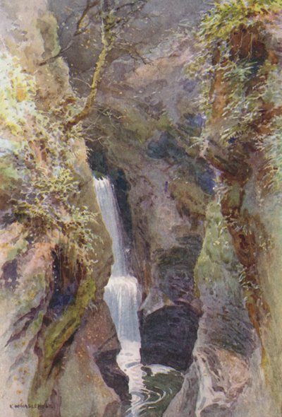 Lydford Gorge (värijäsenet) tekijältä Ernest William Haslehust