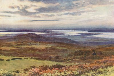 Poole Swanage Golf Linksiltä (värijäsenet) tekijältä Ernest William Haslehust