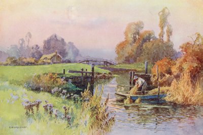 Thames-joki: Weyyn (värilitro). tekijältä Ernest William Haslehust