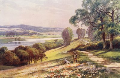 Thames-joki: Bourne End Quarry Hillistä (värilitro). tekijältä Ernest William Haslehust