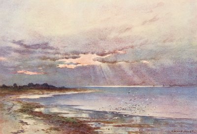Thames-joki: Noreen etelään päin (värilitro). tekijältä Ernest William Haslehust