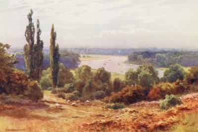 Thames-joki: Richmond Hillistä (värilitro). tekijältä Ernest William Haslehust