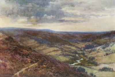 Maurit lähellä Hacknessia (väri litho) tekijältä Ernest William Haslehust