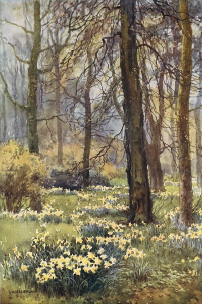 Kevään erämaa (väri litho) tekijältä Ernest William Haslehust