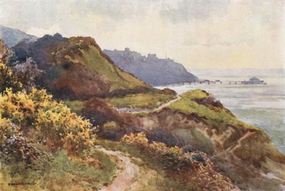 Ventnor Steephill Walkilta (väri litho) tekijältä Ernest William Haslehust